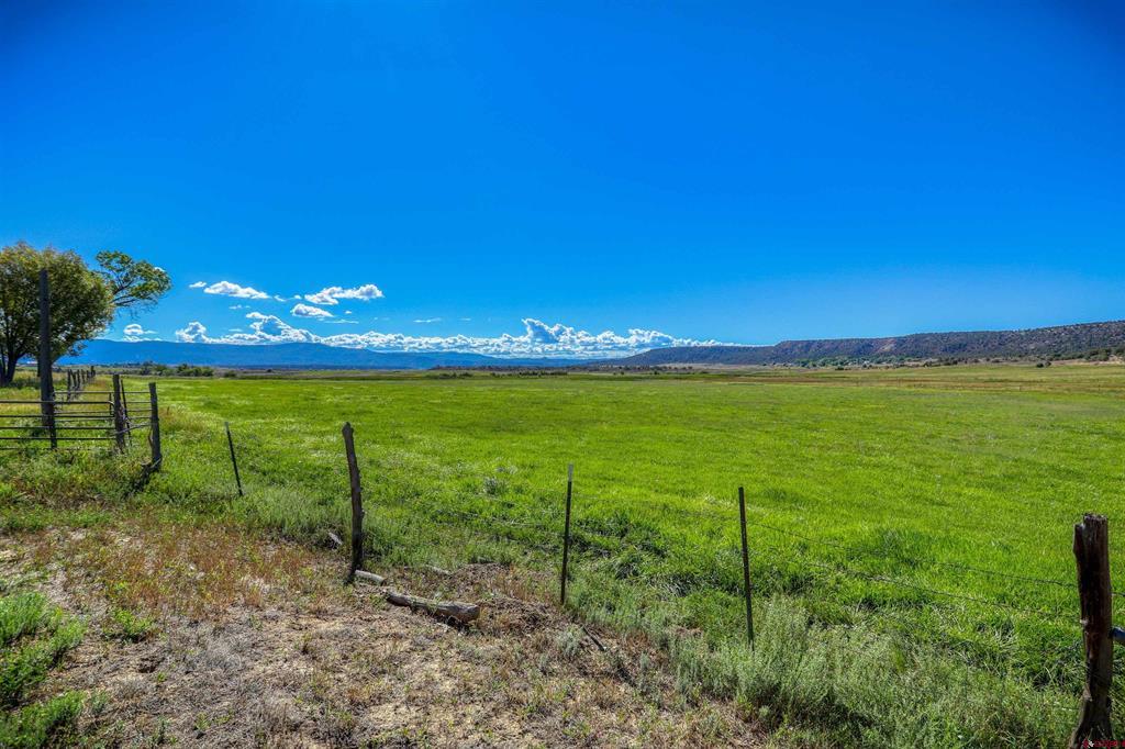 1204 County Road 332 Arboles CO 81301