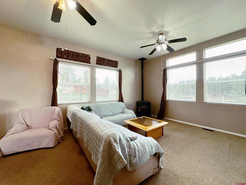 360 Forest Hill Road Ridgway CO 81432