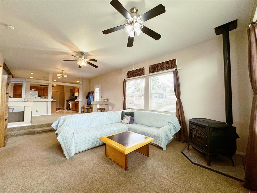360 Forest Hill Road Ridgway CO 81432