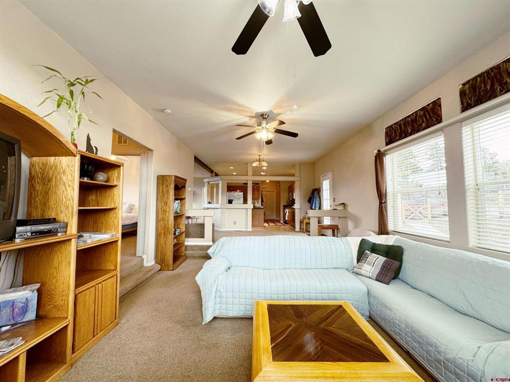 360 Forest Hill Road Ridgway CO 81432