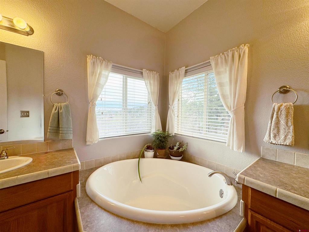 360 Forest Hill Road Ridgway CO 81432