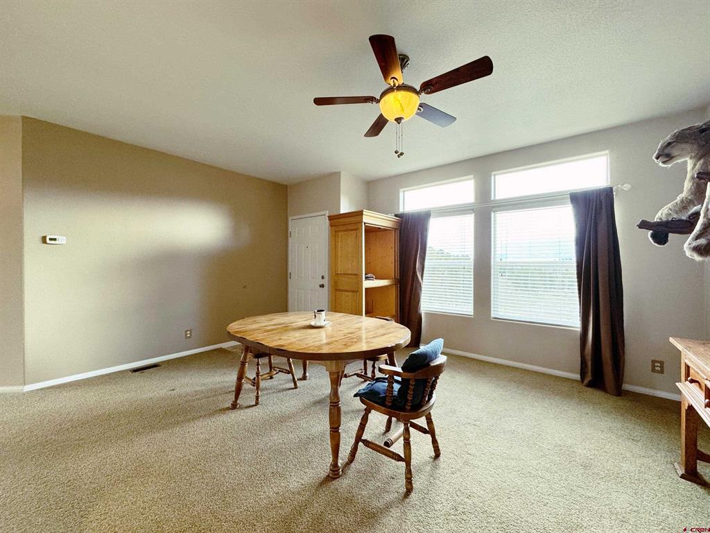 360 Forest Hill Road Ridgway CO 81432