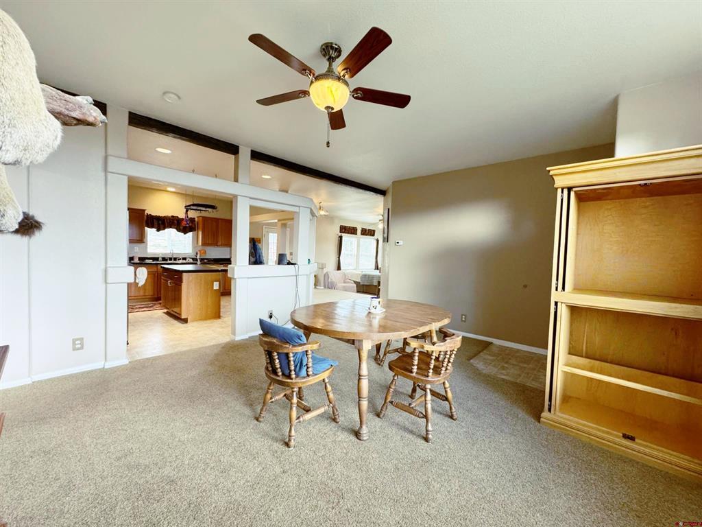 360 Forest Hill Road Ridgway CO 81432