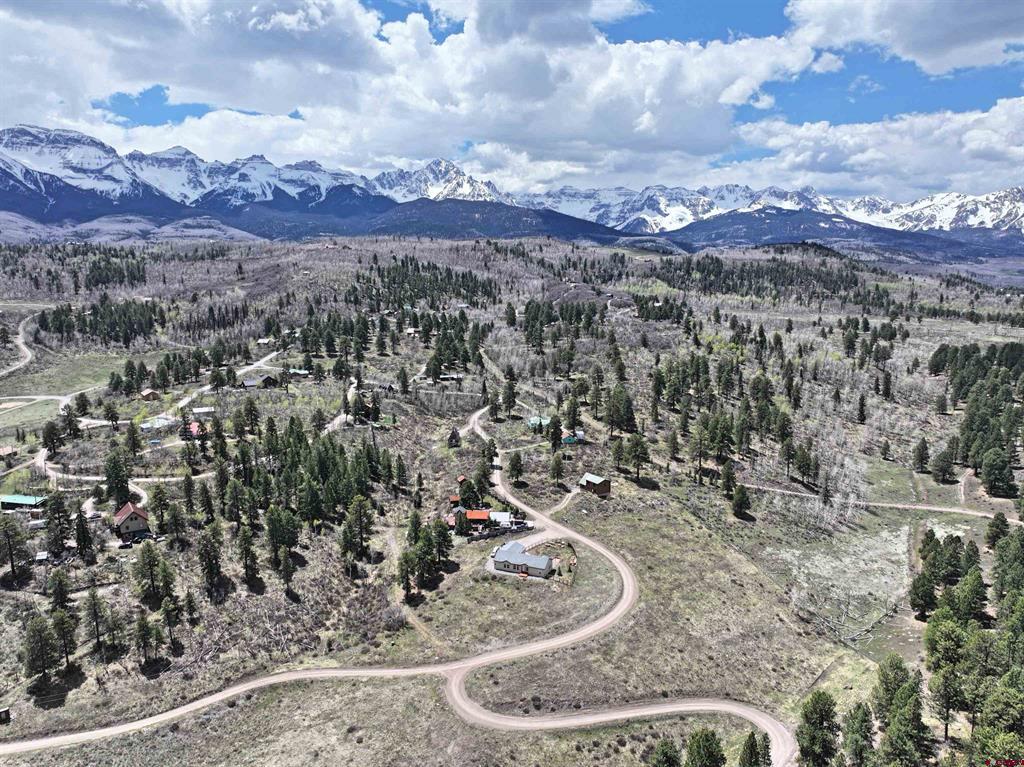 360 Forest Hill Road Ridgway CO 81432