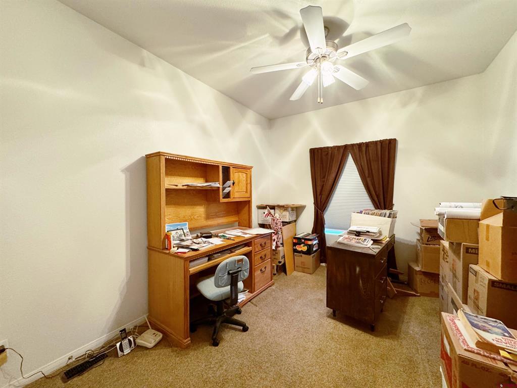 360 Forest Hill Road Ridgway CO 81432
