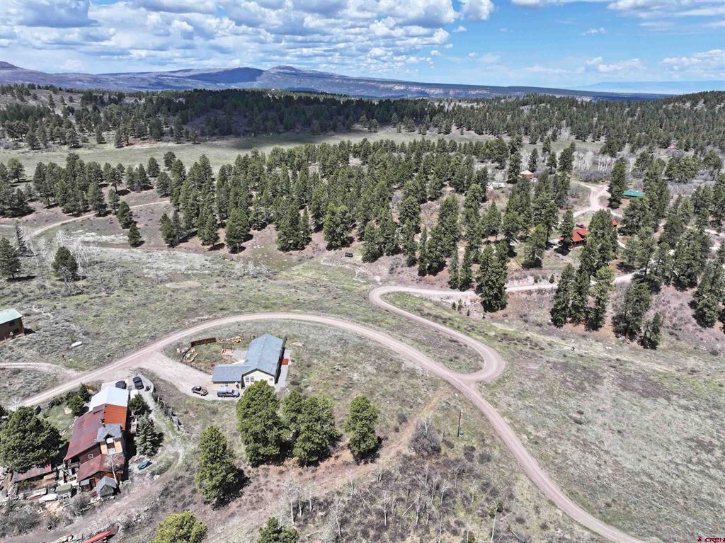 360 Forest Hill Road Ridgway CO 81432