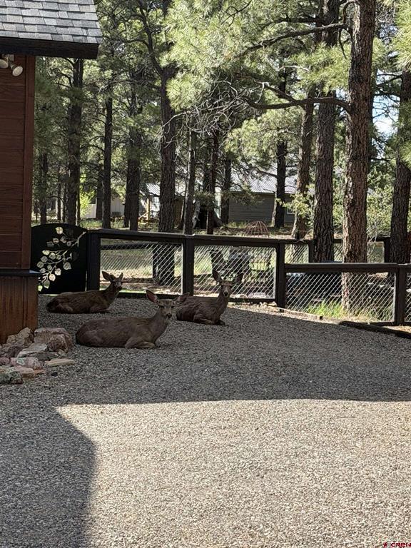 125 Teakwood Drive Pagosa Springs CO 81147
