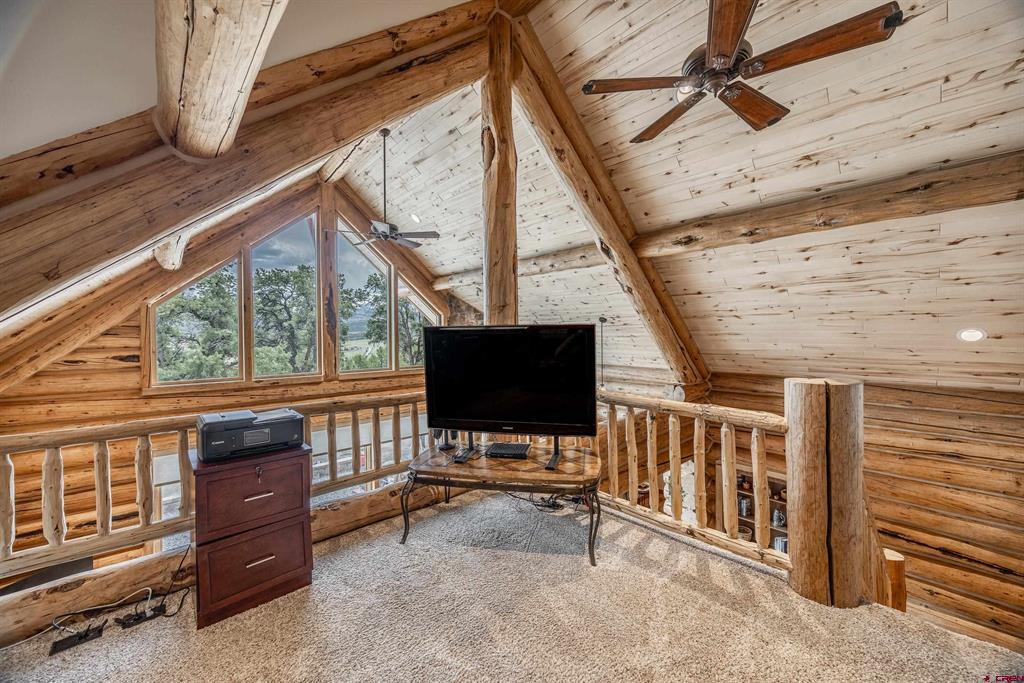 548 Pleasant Valley Drive Ridgway CO 81432