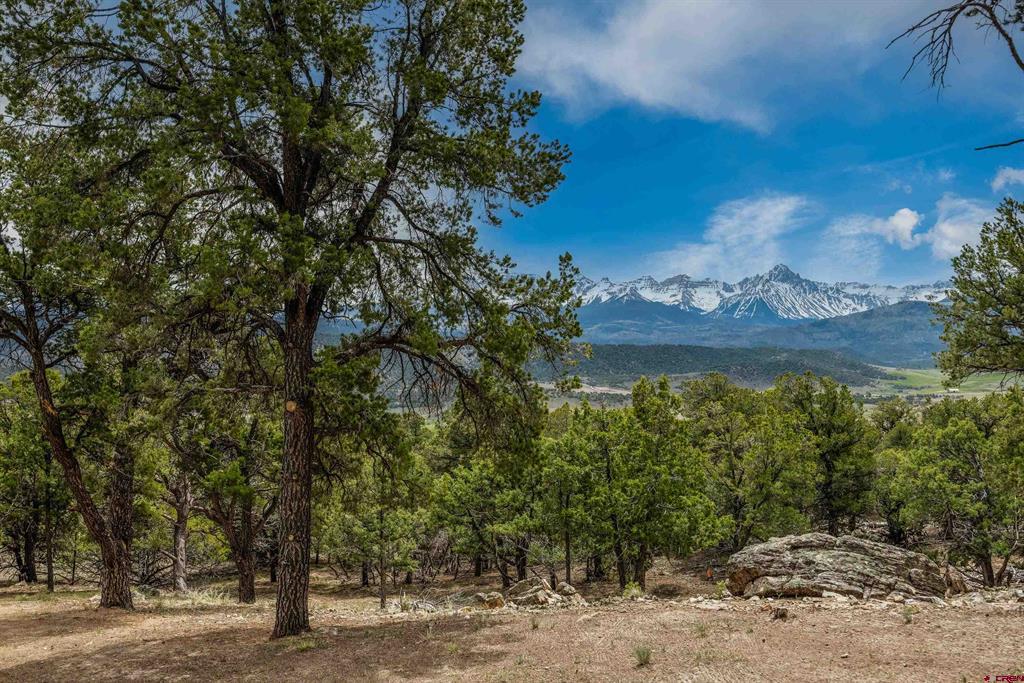 548 Pleasant Valley Drive Ridgway CO 81432
