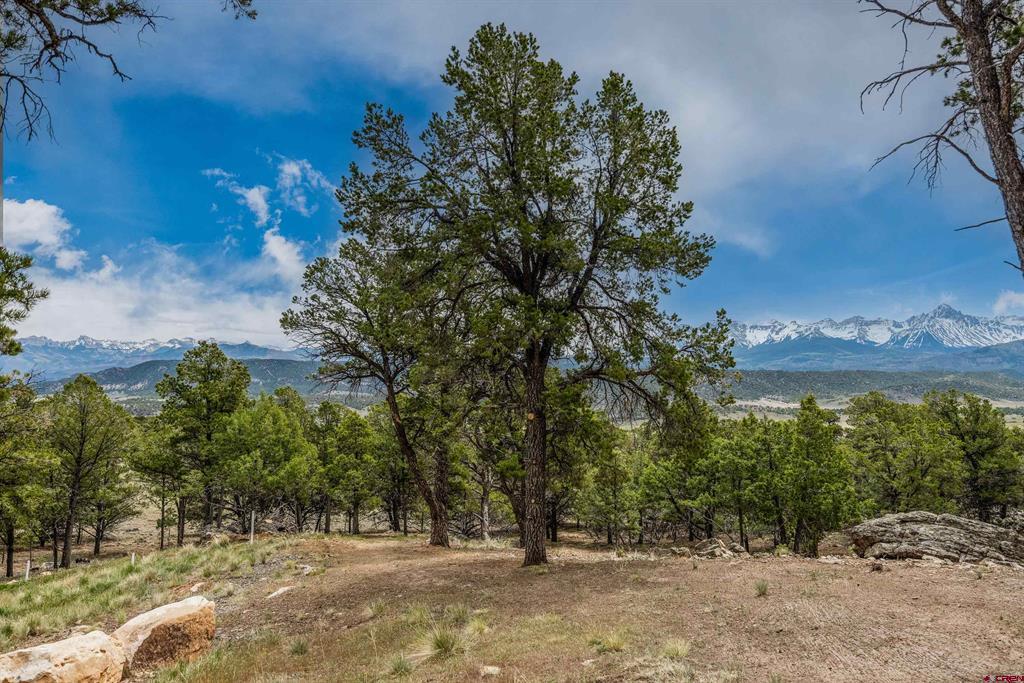548 Pleasant Valley Drive Ridgway CO 81432