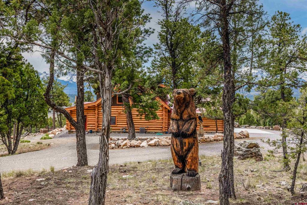 548 Pleasant Valley Drive Ridgway CO 81432