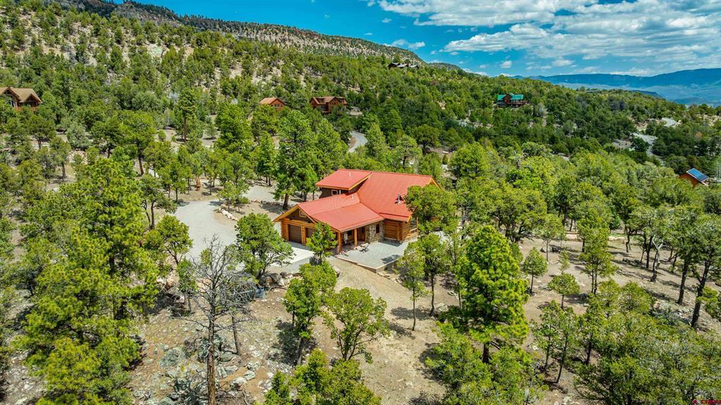 548 Pleasant Valley Drive Ridgway CO 81432
