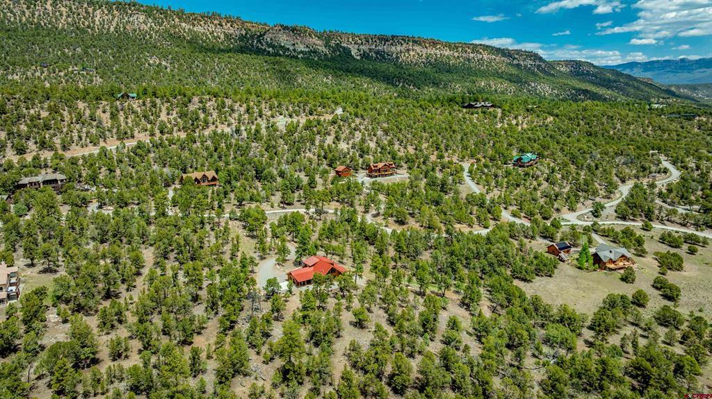 548 Pleasant Valley Drive Ridgway CO 81432