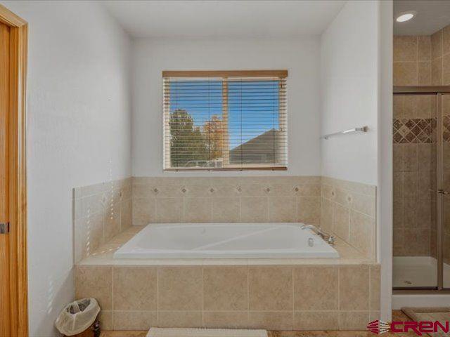 2044 Antelope Avenue Pagosa Springs CO 81147