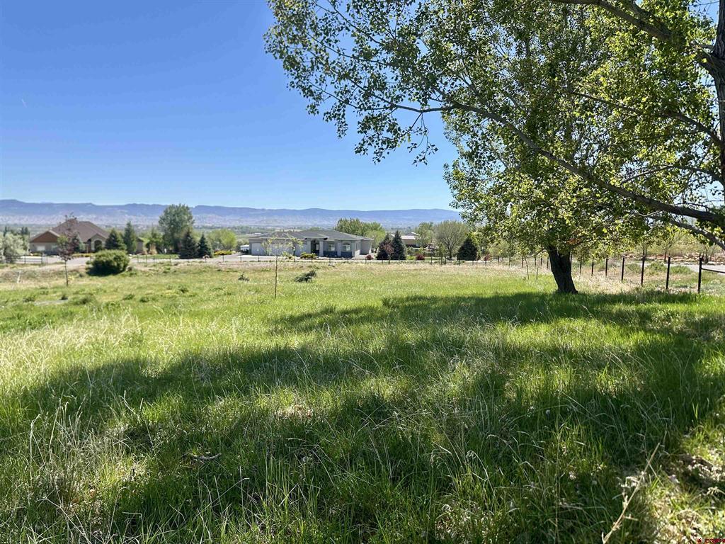 58797 Mallard Court Montrose CO 81403