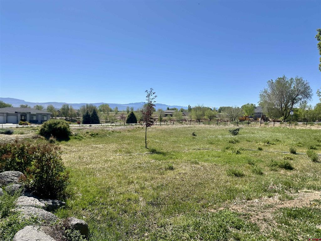 58797 Mallard Court Montrose CO 81403