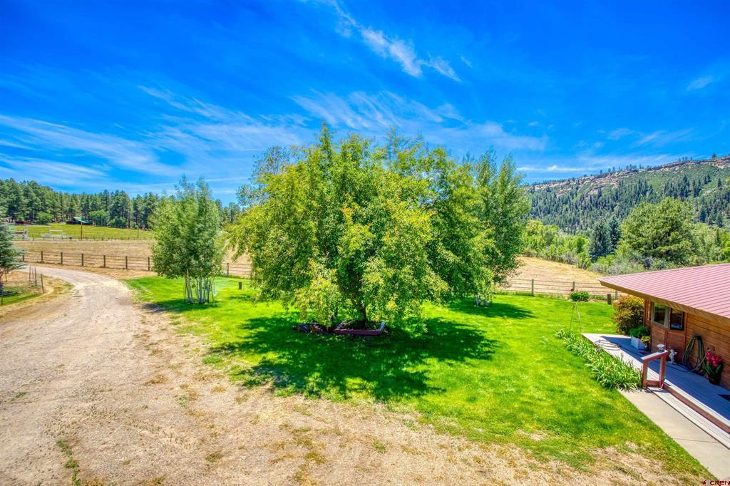 601 County Road 175 Pagosa Springs CO 81147
