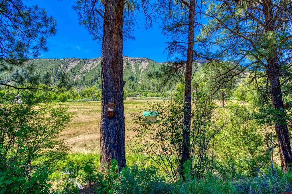 601 County Road 175 Pagosa Springs CO 81147