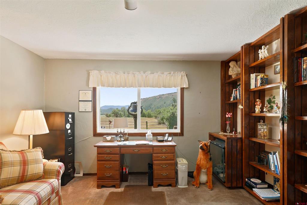 601 County Road 175 Pagosa Springs CO 81147