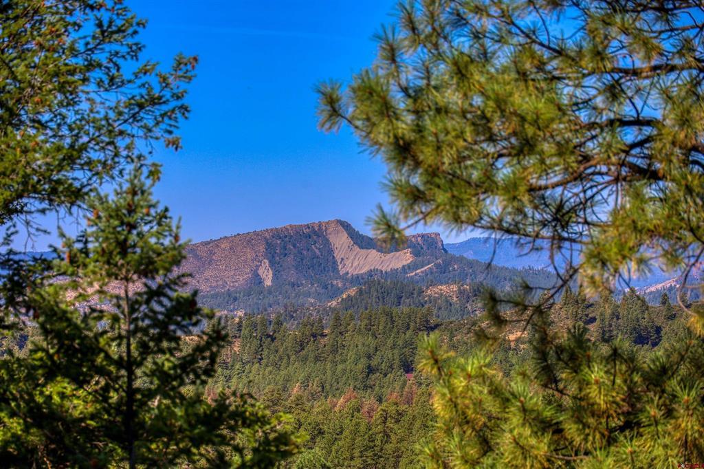 909 Starling Circle Pagosa Springs CO 81147