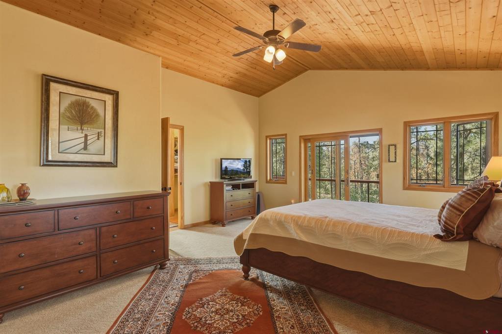 909 Starling Circle Pagosa Springs CO 81147