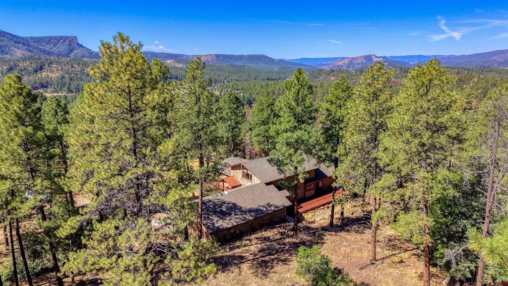 909 Starling Circle Pagosa Springs CO 81147