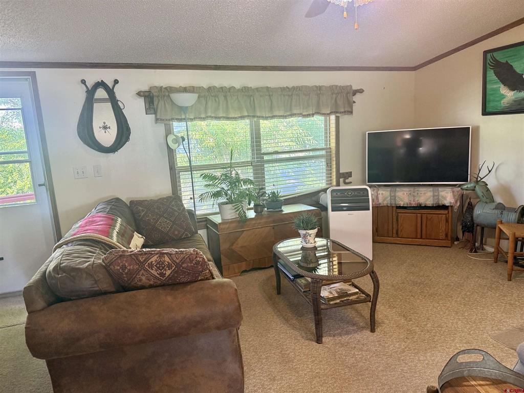 62880 Lasalle Road Montrose CO 81401