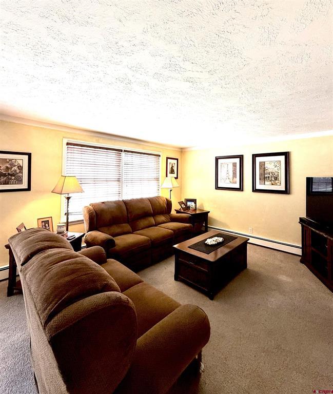 3 Bellwood Drive Alamosa CO 81101