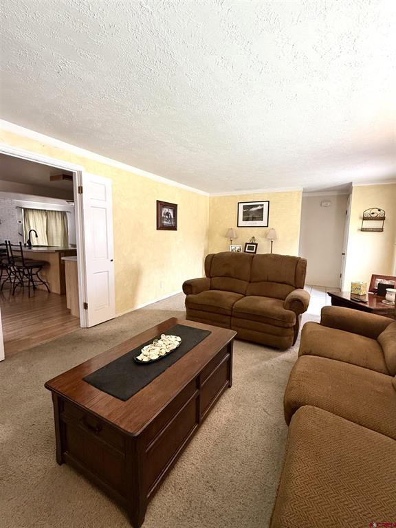 3 Bellwood Drive Alamosa CO 81101