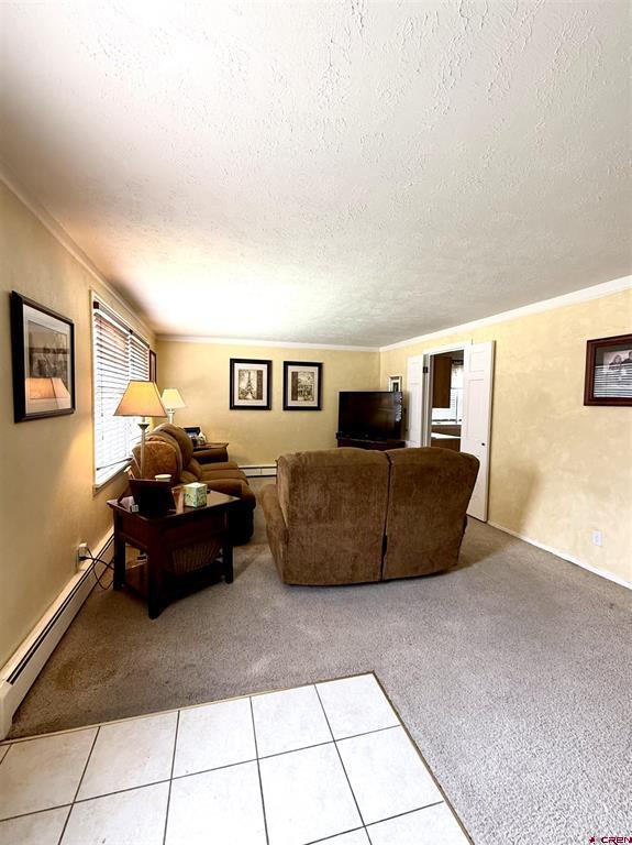 3 Bellwood Drive Alamosa CO 81101