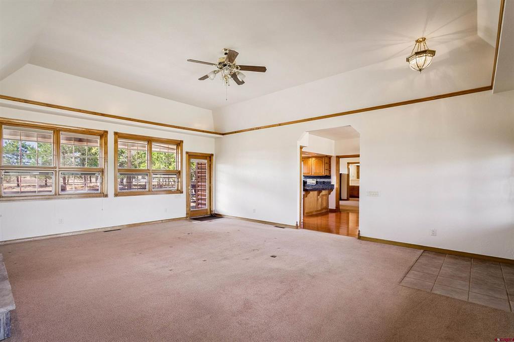 31 Vista San Juan Pagosa Springs CO 81147
