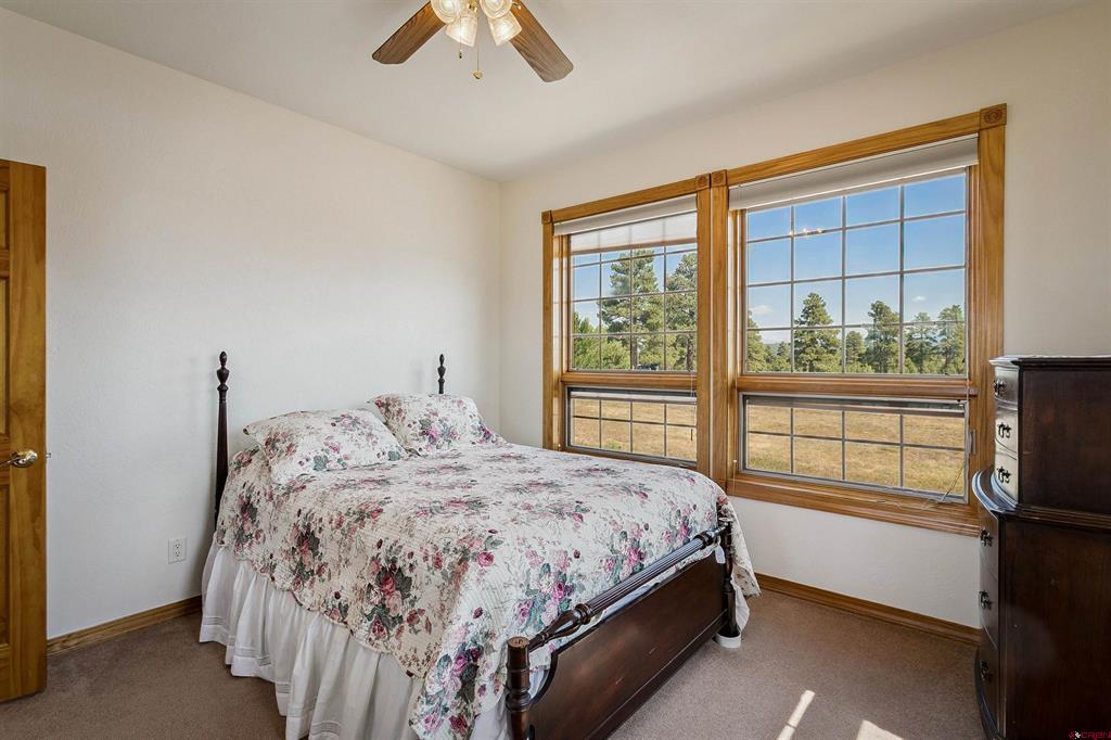31 Vista San Juan Pagosa Springs CO 81147