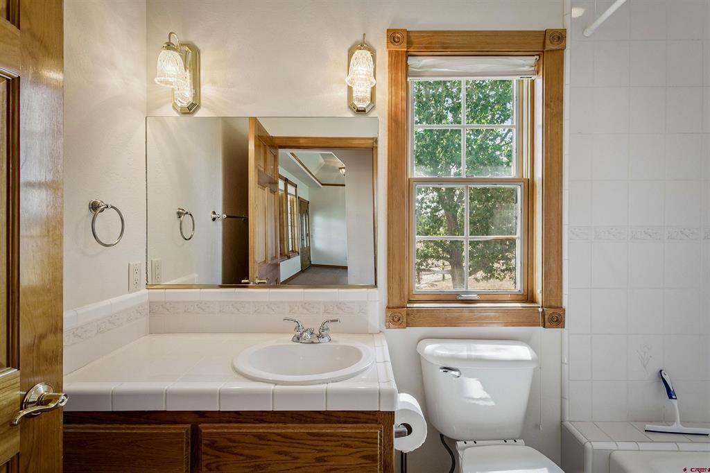 31 Vista San Juan Pagosa Springs CO 81147