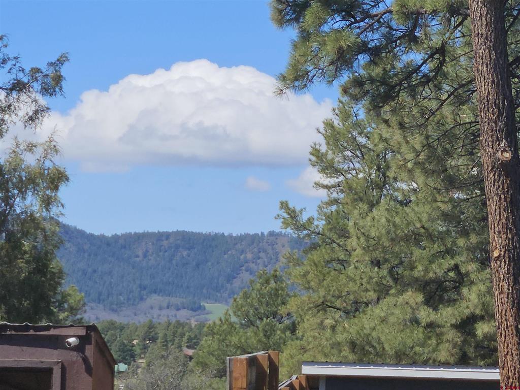 279 Canyon Circle Pagosa Springs CO 81147