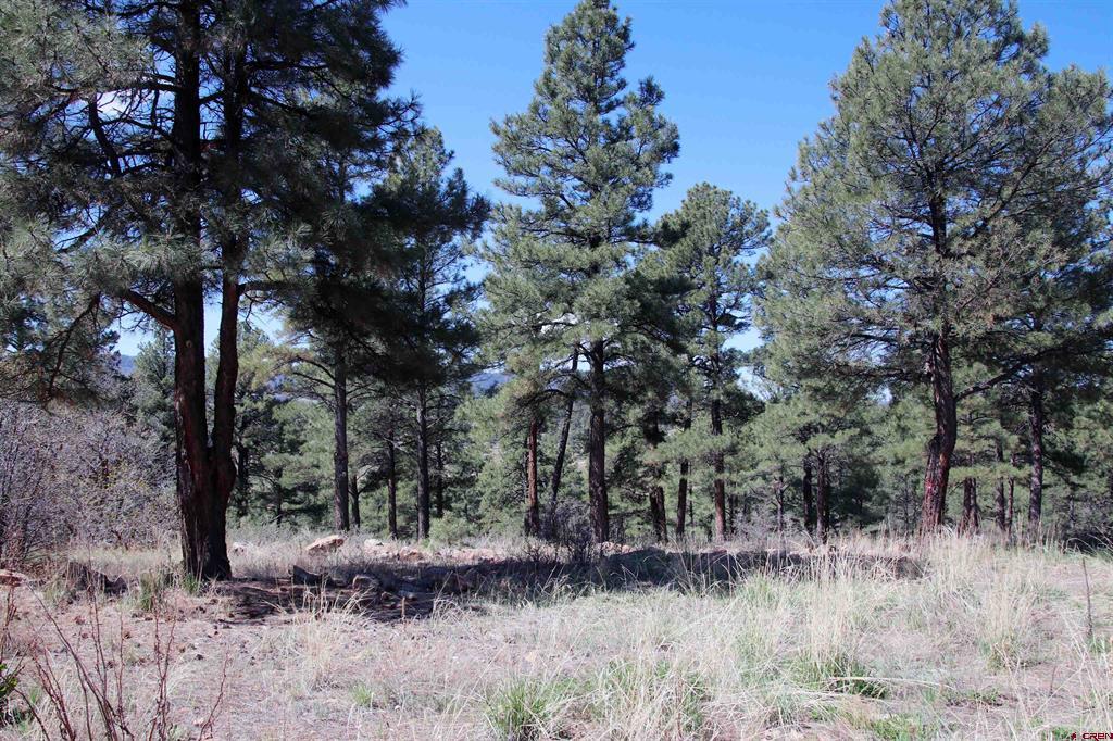 279 Canyon Circle Pagosa Springs CO 81147