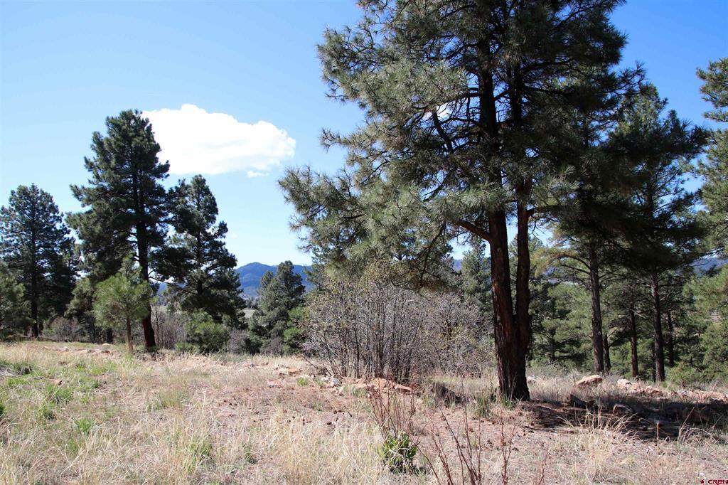 279 Canyon Circle Pagosa Springs CO 81147