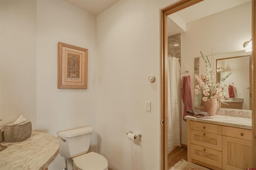 408 Raptor Place Pagosa Springs CO 81147