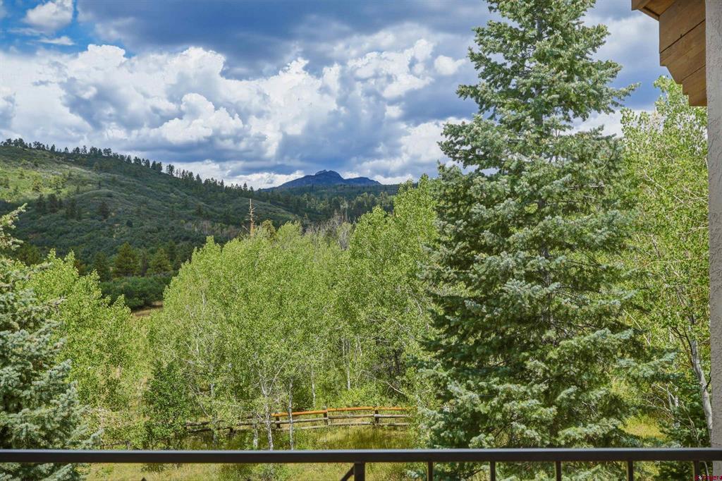 408 Raptor Place Pagosa Springs CO 81147