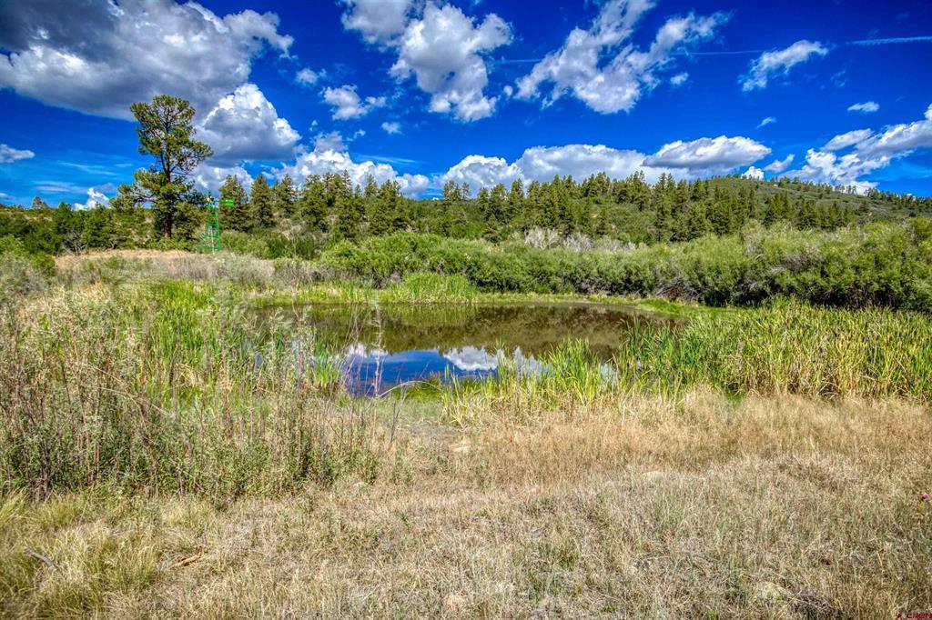 408 Raptor Place Pagosa Springs CO 81147