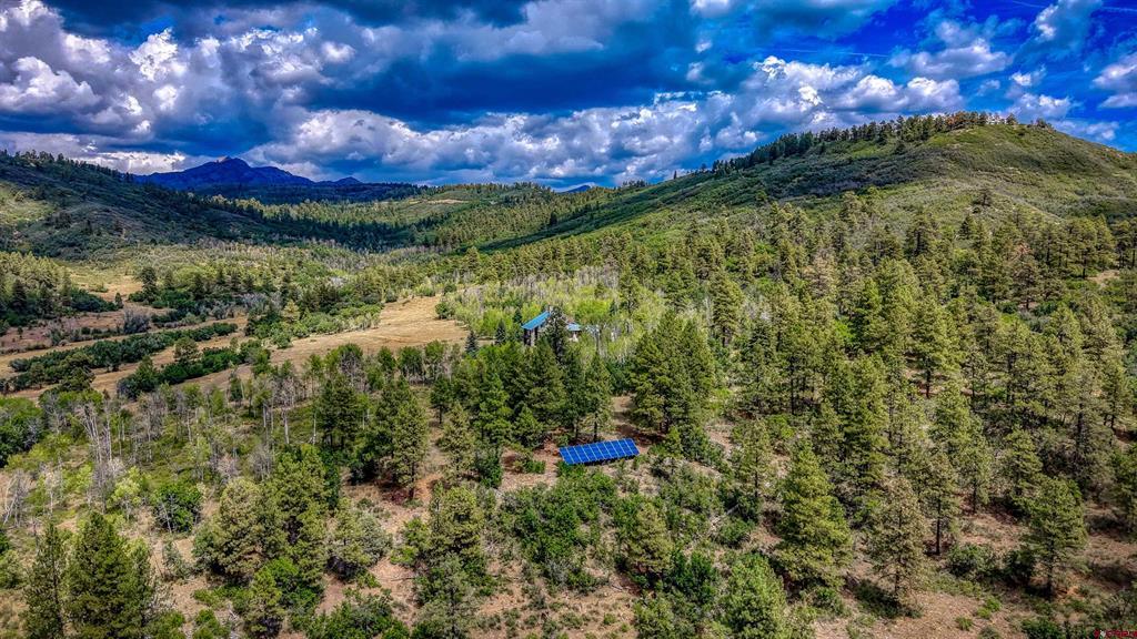 408 Raptor Place Pagosa Springs CO 81147