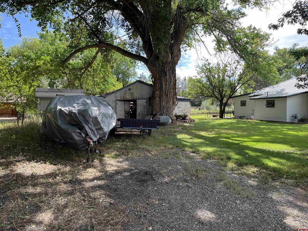 61976 Highway 90 Montrose CO 81403