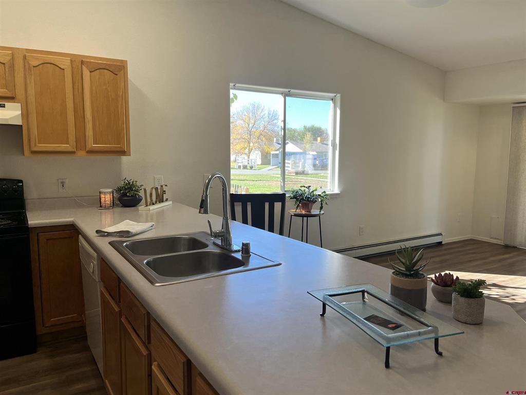 1691 Rheims Court Montrose CO 81401