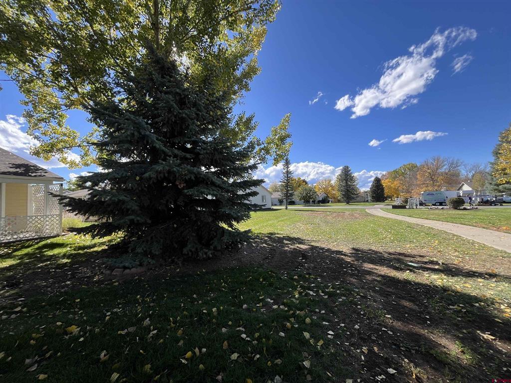 1691 Rheims Court Montrose CO 81401