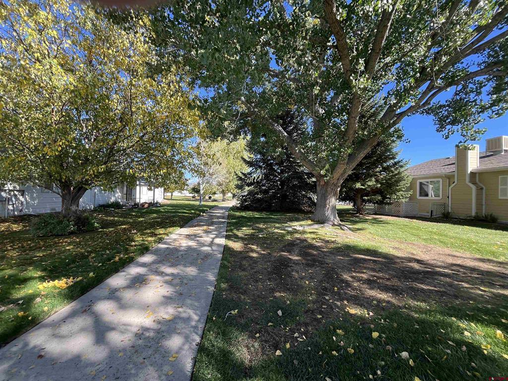 1691 Rheims Court Montrose CO 81401