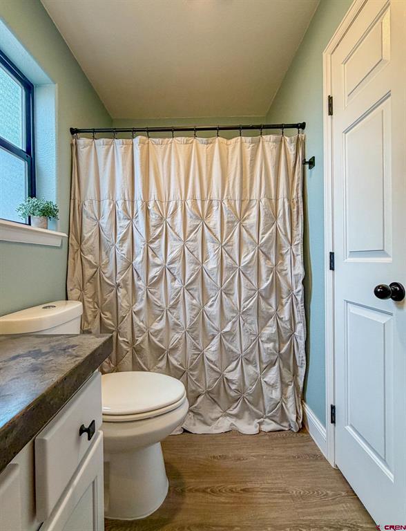 1638 Ironton Court Montrose CO 81401