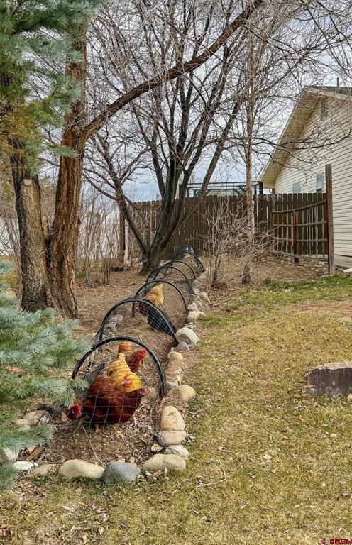 1638 Ironton Court Montrose CO 81401