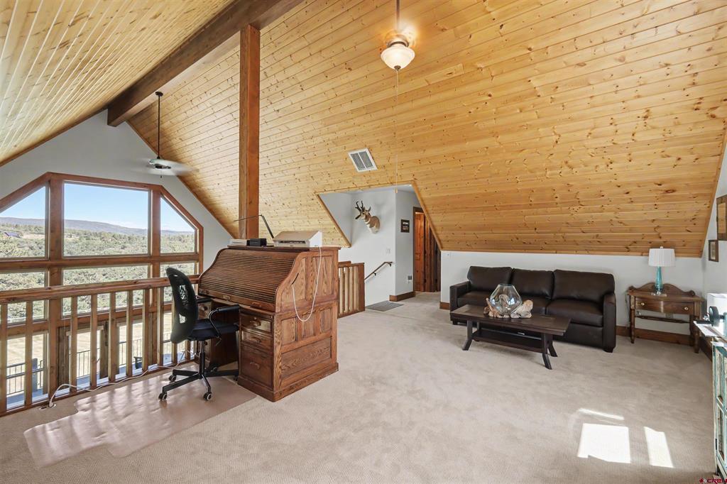 667 Soaring Eagle Court Chromo CO 81128