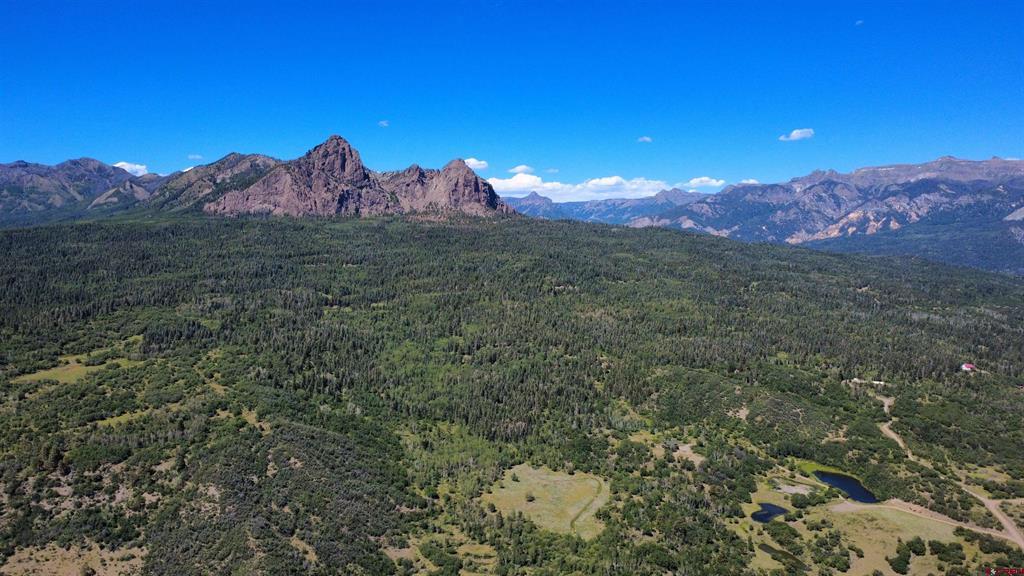 667 Soaring Eagle Court Chromo CO 81128