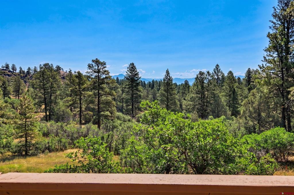 1165 Cool Pines Drive Pagosa Springs CO 81147