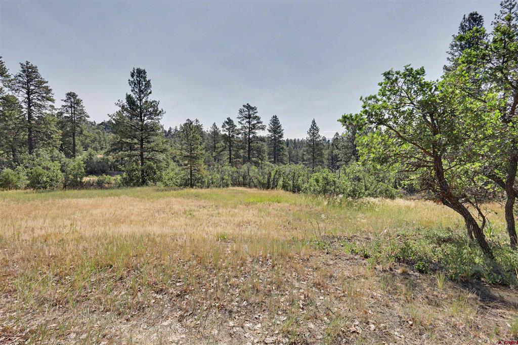 1165 Cool Pines Drive Pagosa Springs CO 81147